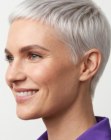 Capelli bianchi molto corti